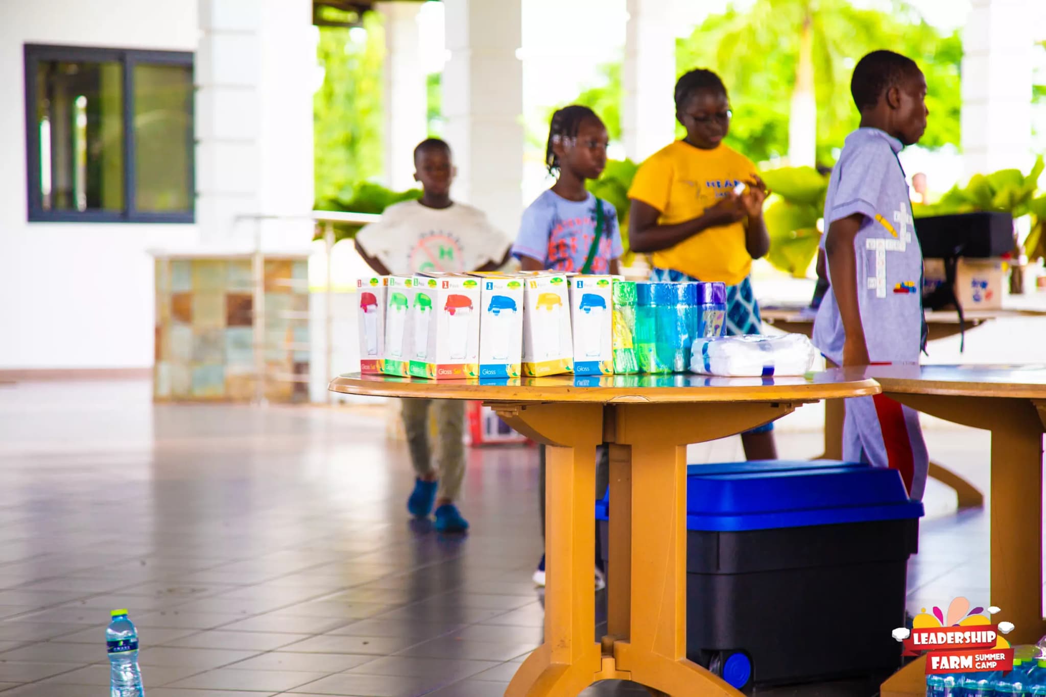 Ghana-Youth-Leadership-Academy